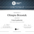 Powiększ obraz: certificate 14