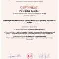Powiększ obraz: certificate 43