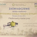 Powiększ obraz: certificate 4