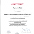 Powiększ obraz: certificate 4