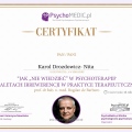 Powiększ obraz: certificate 1