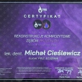 Powiększ obraz: certificate 2