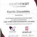 Powiększ obraz: certificate 7