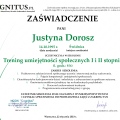 Powiększ obraz: certificate 27