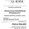 Powiększ obraz: certificate 1