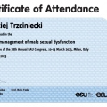 Powiększ obraz: certificate 6