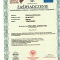 Powiększ obraz: certificate 5