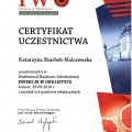 Powiększ obraz: certificate 9