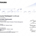 Powiększ obraz: certificate 4