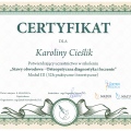 Powiększ obraz: certificate 9