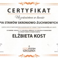 Powiększ obraz: certificate 1