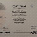 Powiększ obraz: certificate 15
