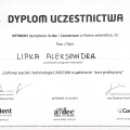 Powiększ obraz: certificate 7
