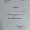 Powiększ obraz: certificate 2