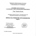 Powiększ obraz: certificate 1