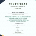 Powiększ obraz: certificate 1