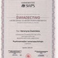 Powiększ obraz: certificate 2