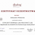 Powiększ obraz: certificate 11