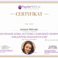 Powiększ obraz: certificate 6