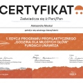 Powiększ obraz: certificate 15