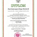 Powiększ obraz: certificate 1