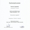 Powiększ obraz: certificate 7