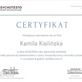 Powiększ obraz: certificate 12