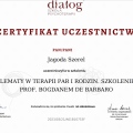 Powiększ obraz: certificate 2