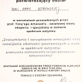 Powiększ obraz: certificate 12