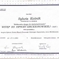Powiększ obraz: certificate 3