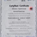 Powiększ obraz: certificate 13