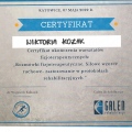 Powiększ obraz: certificate 7