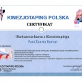 Powiększ obraz: certificate 9