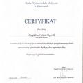 Powiększ obraz: certificate 11