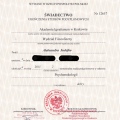 Powiększ obraz: certificate 2