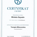 Powiększ obraz: certificate 5