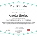 Powiększ obraz: certificate 10