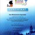 Powiększ obraz: certificate 7