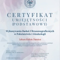 Powiększ obraz: certificate 2