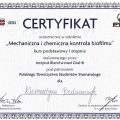 Powiększ obraz: certificate 8