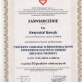 Powiększ obraz: certificate 1