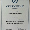 Powiększ obraz: certificate 2