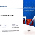 Powiększ obraz: certificate 5