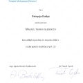 Powiększ obraz: certificate 11