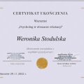 Powiększ obraz: certificate 8