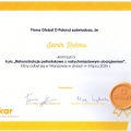 Powiększ obraz: certificate 7