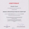 Powiększ obraz: certificate 8