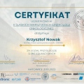 Powiększ obraz: certificate 11