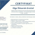 Powiększ obraz: certificate 3