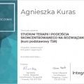 Powiększ obraz: certificate 3
